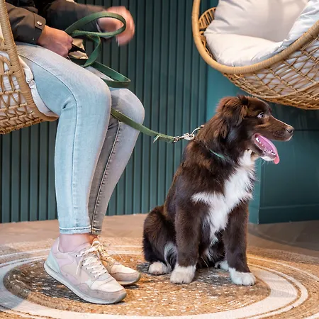 C-hotels Excelsior 3*