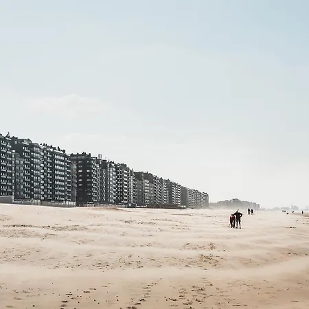 Hotell C-hotels Excelsior 3*