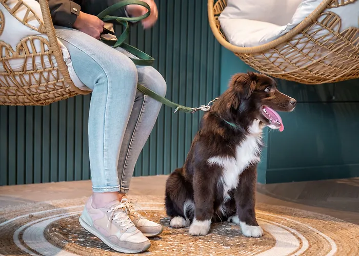 C-hotels Excelsior 3*