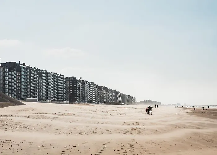 酒店 怡东c酒店 3*